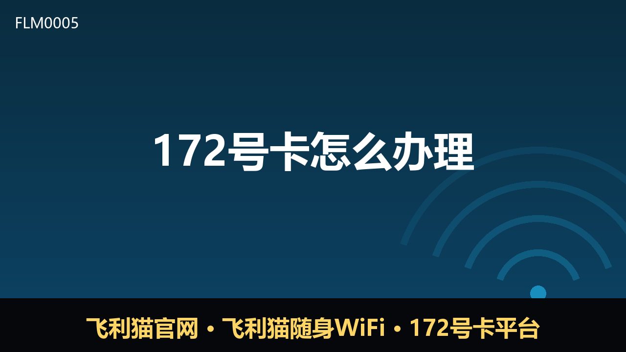 172号卡怎么办理？新手必看流程与注意事项